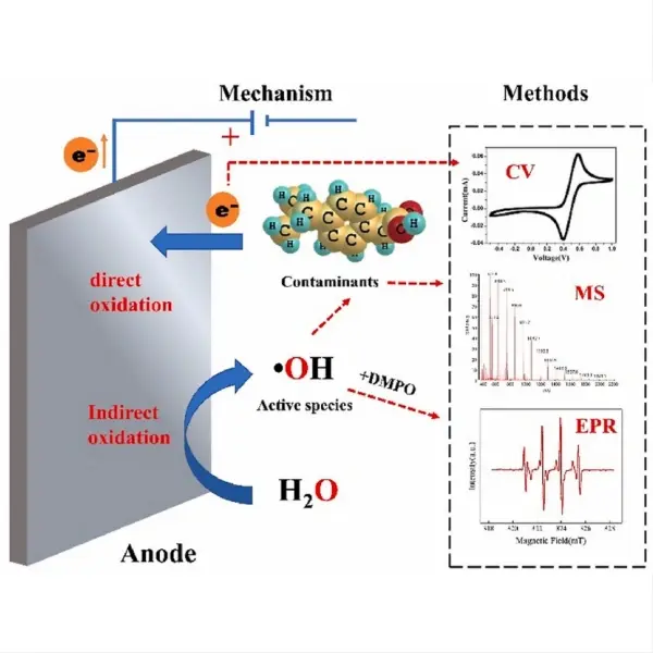 Wastewater Disinfection and Oxidation Anode